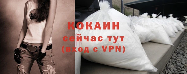 крисы Армянск