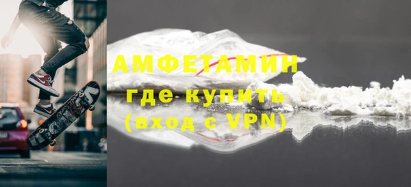 шишки Арсеньев