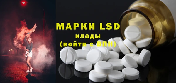 шишки Арсеньев