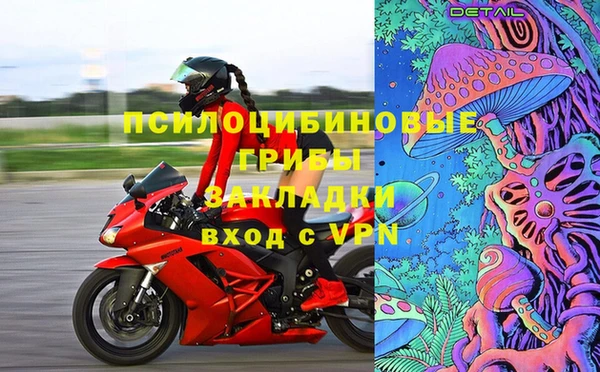 молекула духа Аркадак