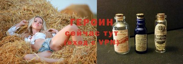 шишки Арсеньев