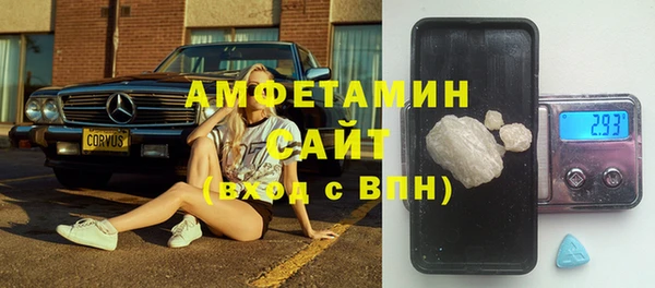 шишки Арсеньев