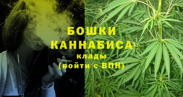 шишки Арсеньев