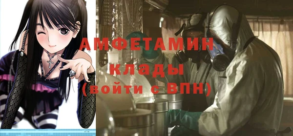 шишки Арсеньев